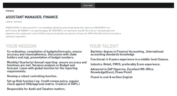 9. Puma – Finance Assistant Manager