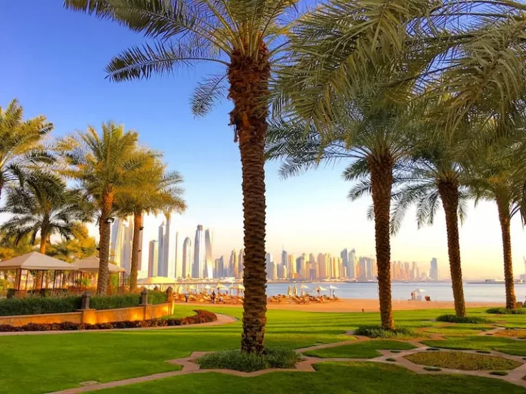 best candidates in the UAE